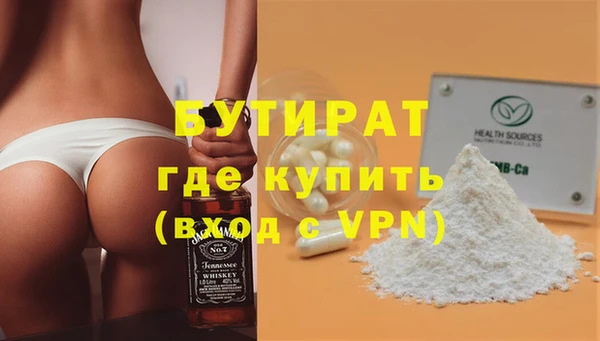 индика Новозыбков