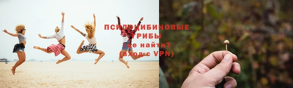 тгк Аркадак