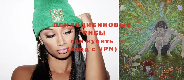 тгк Аркадак