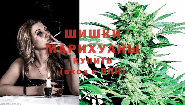 PSILOCYBIN Новокубанск