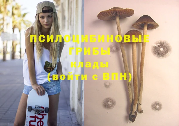 прущие крисы Армянск
