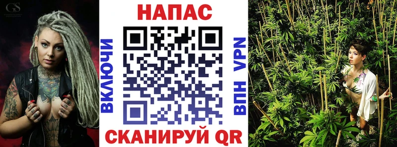 Конопля сатива  где можно купить наркотик  Чудово 